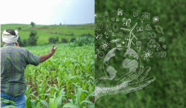Agriculture & Environment